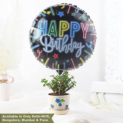 Birthday Wishes Jade Plant Floral Pot