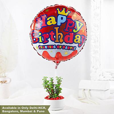 Birthday Wishes Jade Plant White Pot
