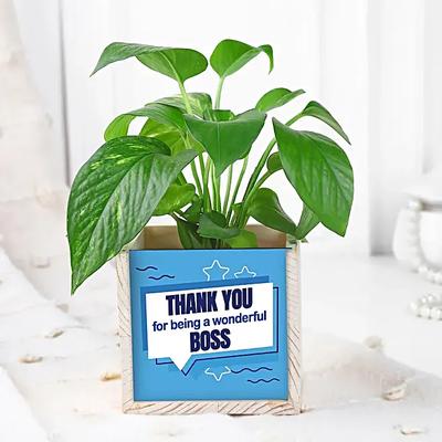 Boss Day Eco Friendly Desk Set