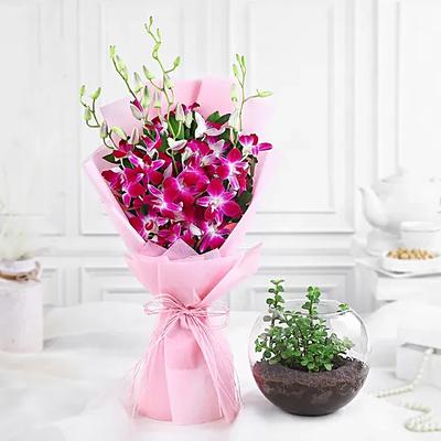 Delightful Daisies N Jade Plant Gift Combo