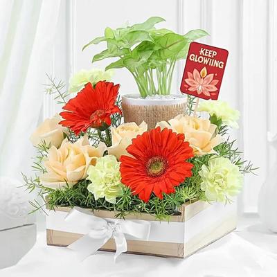 Festive Blooms n Golden Greens Hamper