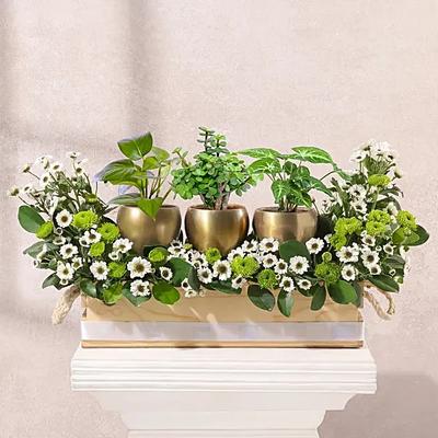 Get Well Soon Floral Arrangement