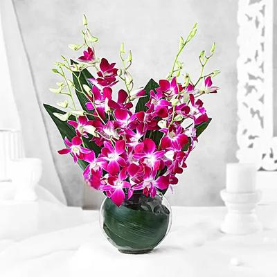 Gorgeous Purple Orchid Bunch