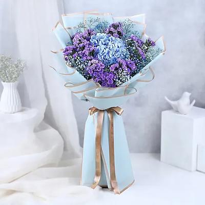 Hydrangea Hues Serenade