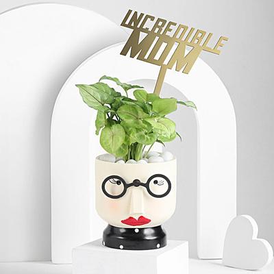 Incredible Golden Plant for Mothers Day