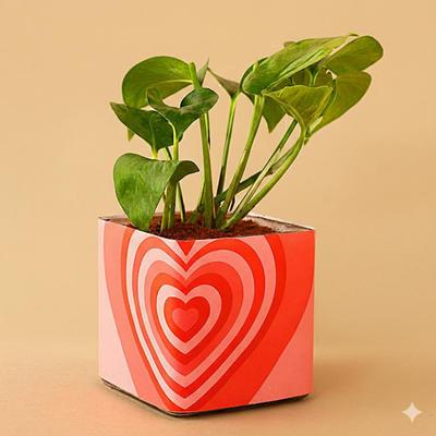 Money Plant With Love Vase