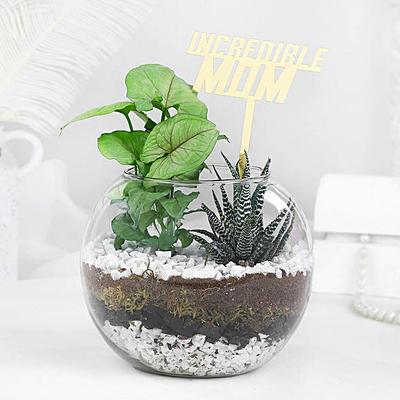 Plant Harmony Duo For Mom