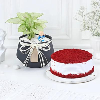 Red Velvet Serenity