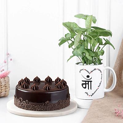 Syngonium Love N Truffle Cake for Mom