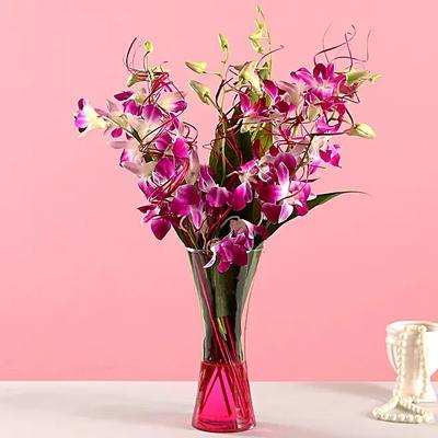 Vibrant Purple Color Orchid Bunch